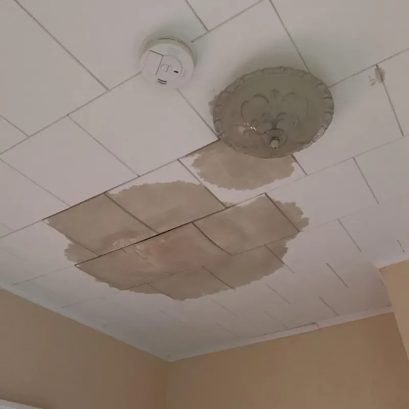 Ceiling Water Damage Repair in Olivette, MO