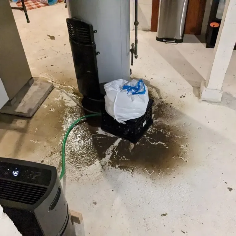 Sewage Backup Cleanup Service in Olivette, MO